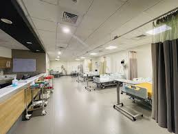 Aster Medcity Hospital — Consultation and Report Review