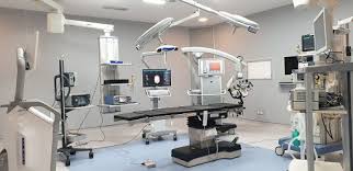 VPS Lakeshore Hospital — Consultation and Report Review