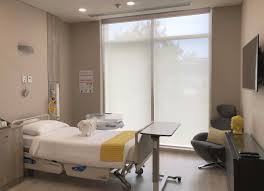 CK Birla Hospital, Punjabi Bagh, New Delhi — Building and Access