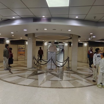 Sir Ganga Ram Hospital, Delhi — Consultation and Report Review