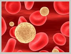 Colon Cancer Treatment Renowned Oncologists India Video