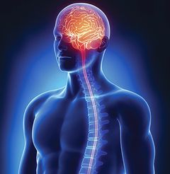 Ar Spinal Tumor Surgery Best Cancer Hospitals India