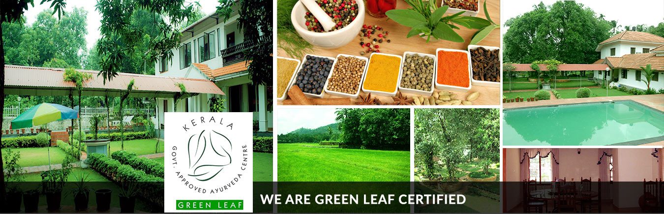 What Is Ayurveda
