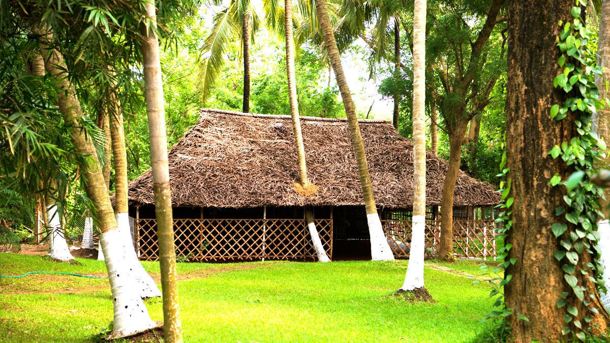 Thatched Yoga And Meditation Hall In The Grounds At Kairali The Ayurvedic Healing Village