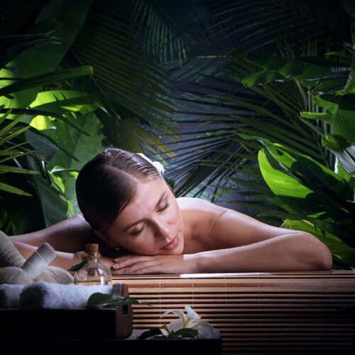Panchakarma Therapy At Dr. Franklin's Institute Kerala