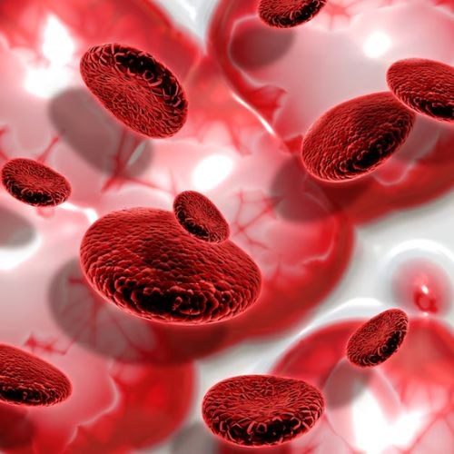 Blood Cancer Treatment