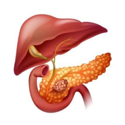 How to do Diagnosis of Diabetes?