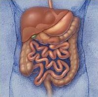Laparoscopic Colorectal Surgery