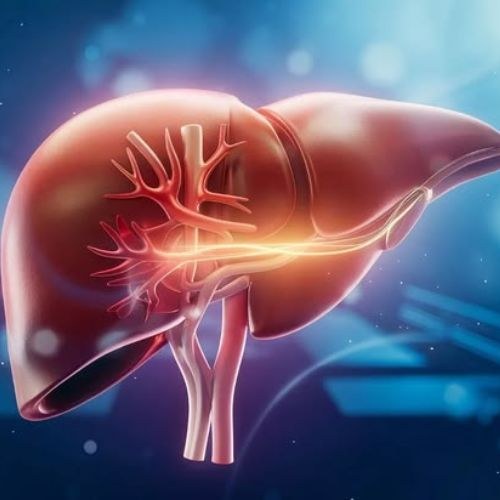 Liver Transplant In India