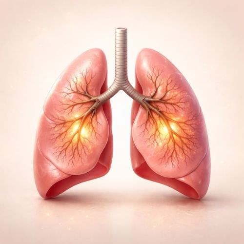 Lung Cancer Surgery In India