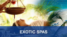 Exotic Spas