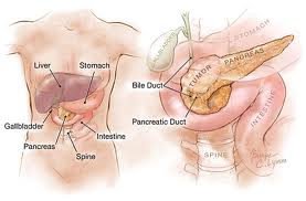 Low Cost Pancreatic Cancer Treatment and Surgery in India.